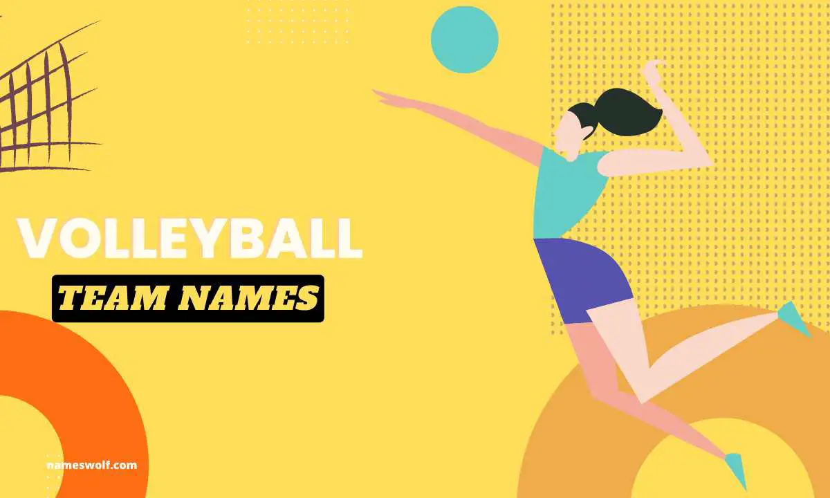 40 Volleyball Team Names - Fun & Creative Name Ideas