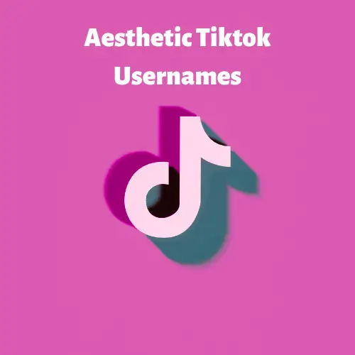 Aesthetic usernames for Tiktok