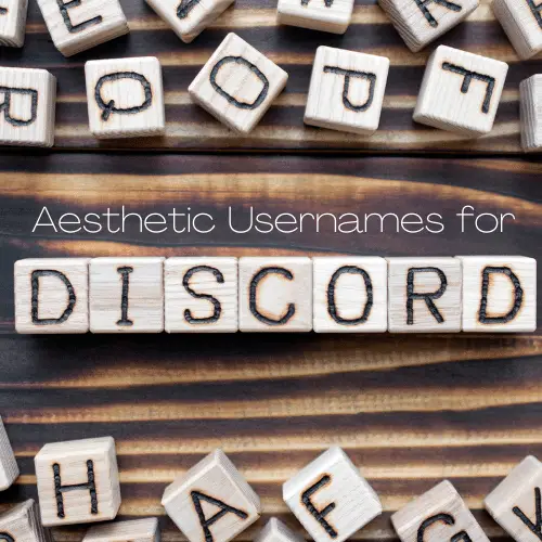 Aesthetic usernames for discord