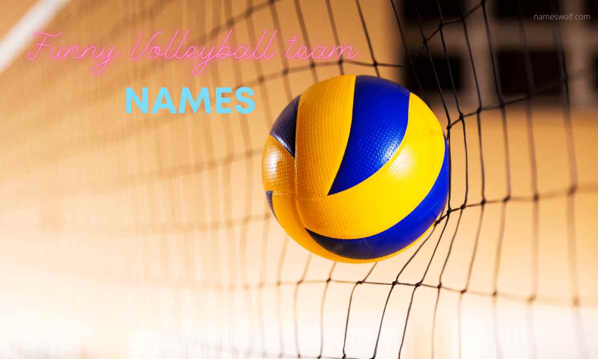 Funny volleyball team names