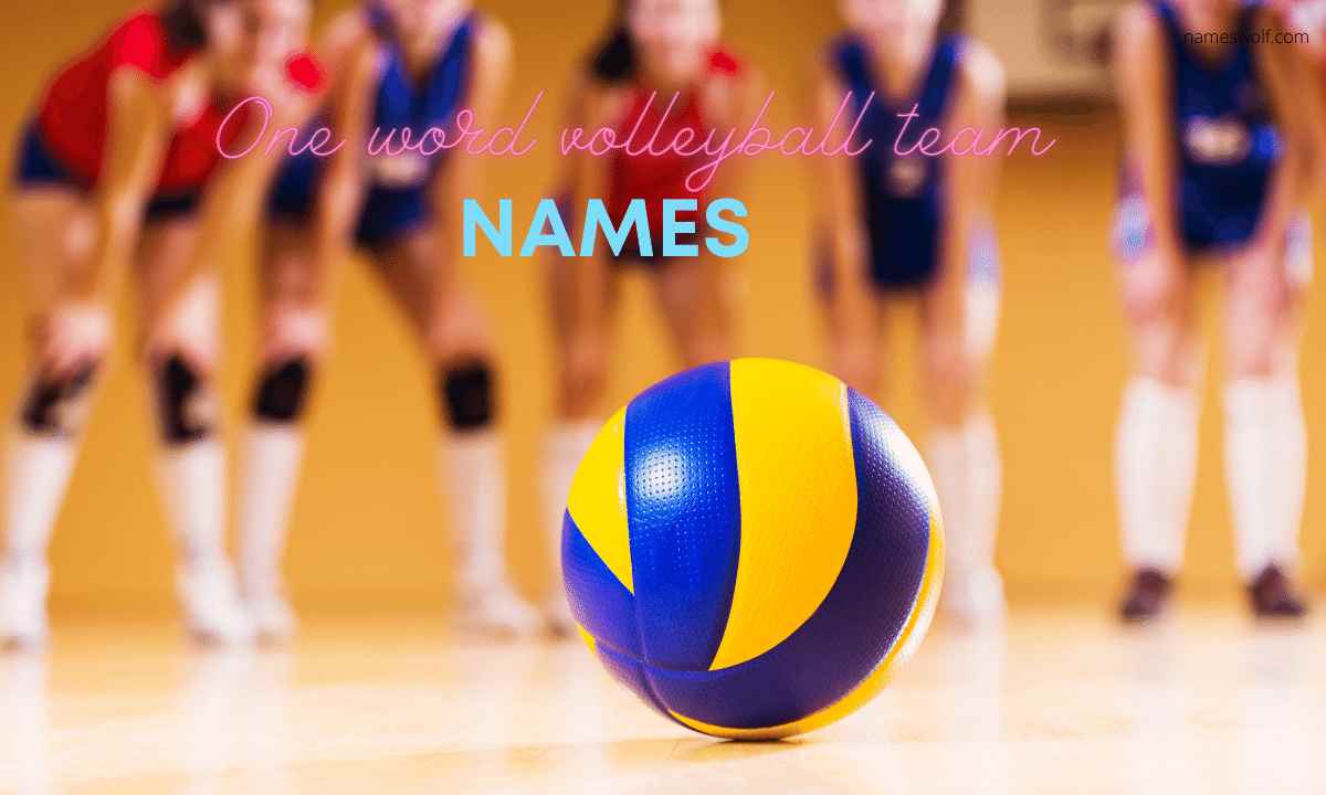 One word volleyball team names