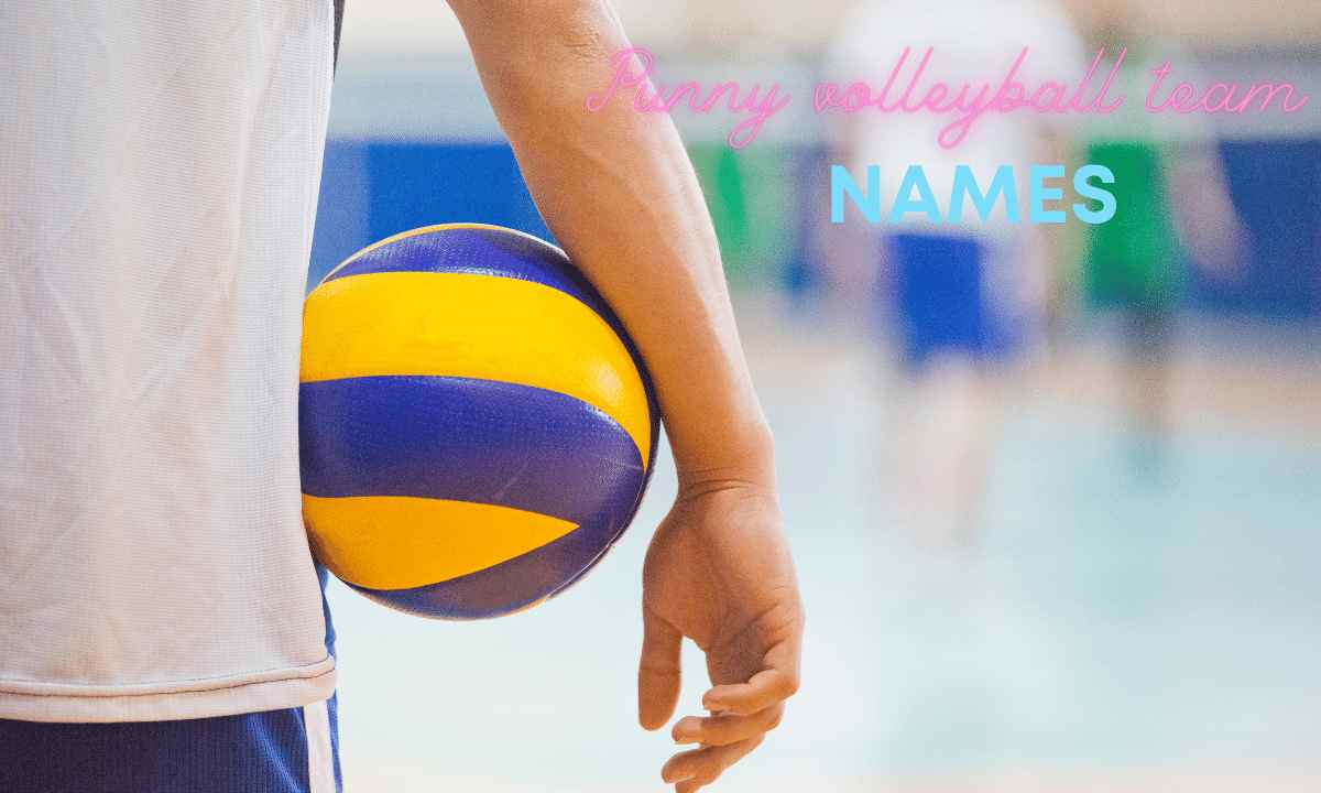 Punny volleyball team names