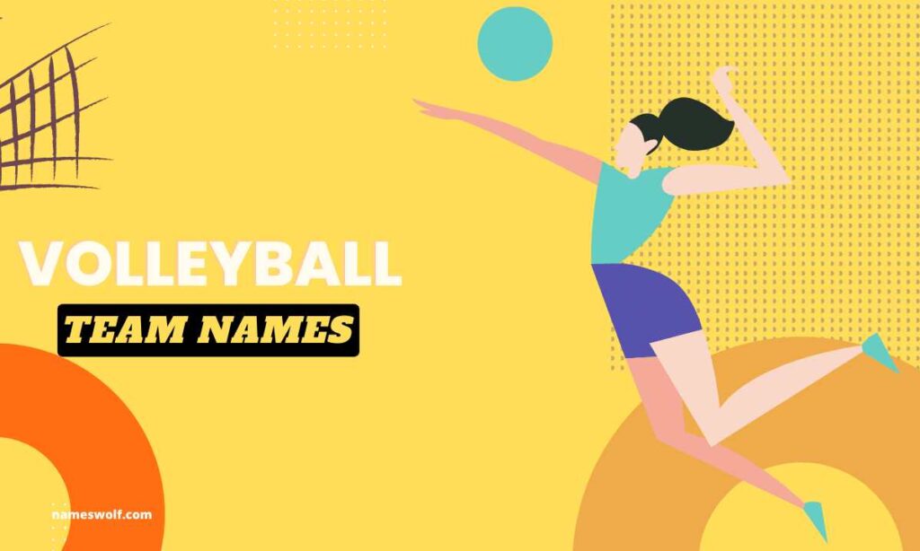 550+ Volleyball Team Names That Are Cool & Catchy NamesWolf