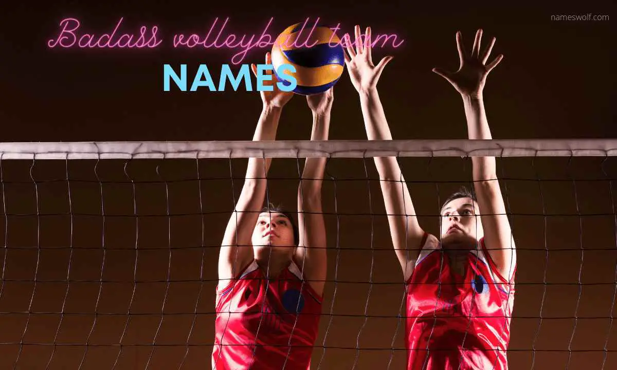 Badass volleyball team names