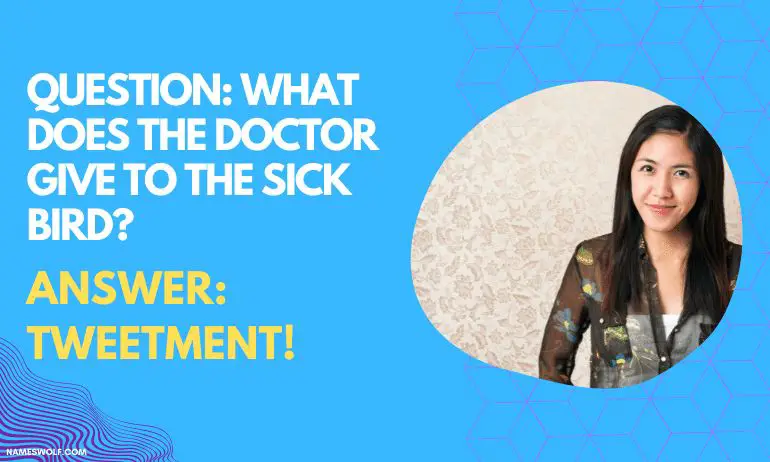 QUESTION_ What does the doctor give to the sick bird_ ANSWER_ TWEETMENT!,