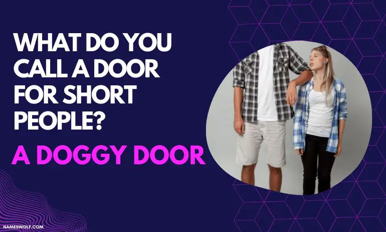 What do you call a door for short people A doggy door