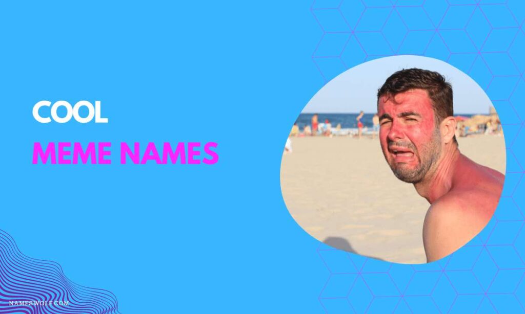 750+ Funny Meme Names Help You Stand Out From the Crowd!