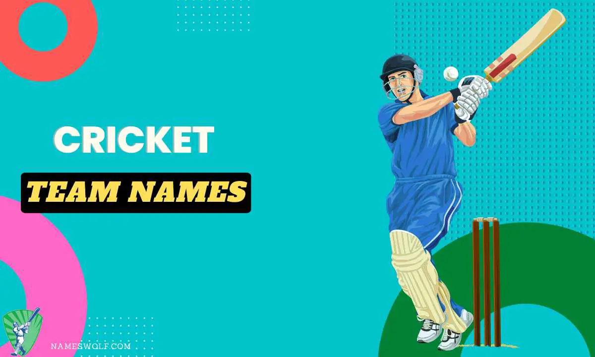 550+ Cricket Team Names To Make Your Opponent Clean Bowled