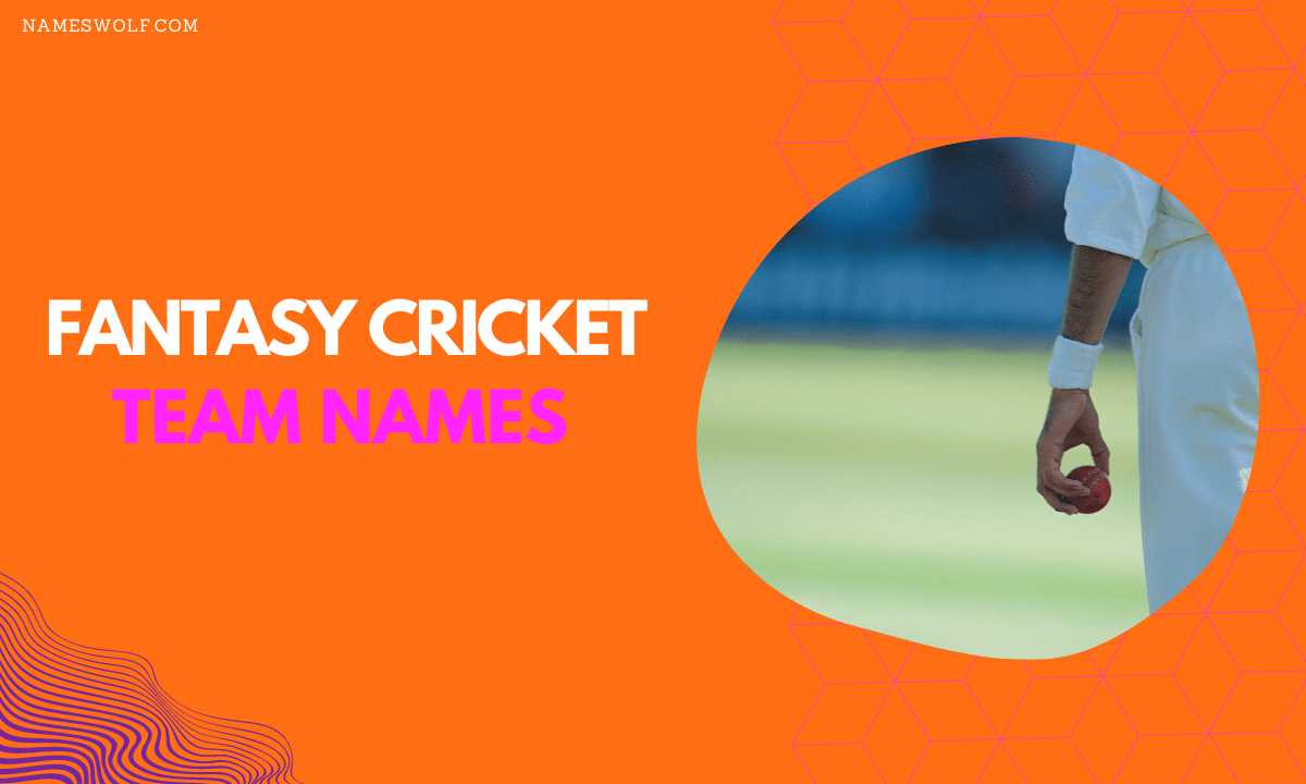 550 Cricket Team Names To Make Your Opponent Clean Bowled 8957