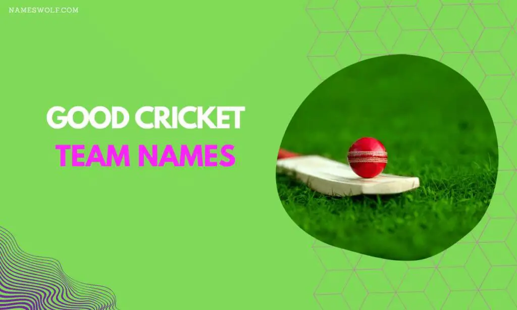 good cricket team names