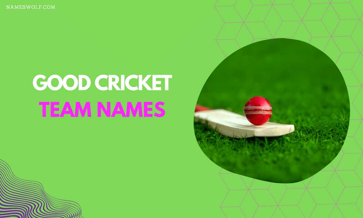 550 Cricket Team Names To Make Your Opponent Clean Bowled 9580