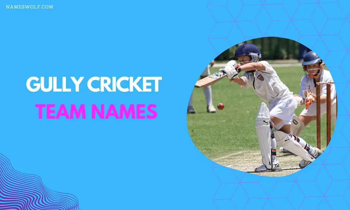 550 Cricket Team Names To Make Your Opponent Clean Bowled 6597