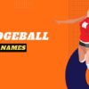 dodgeball Team Names