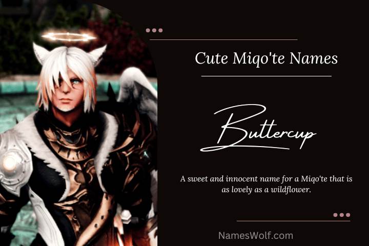 350 Awesome Miqote Names That Are Out Standing