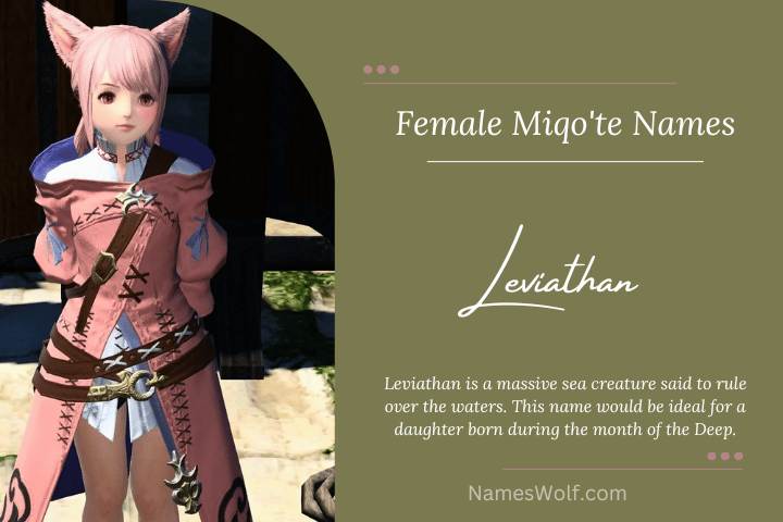 350 Awesome Miqote Names That Are Out Standing