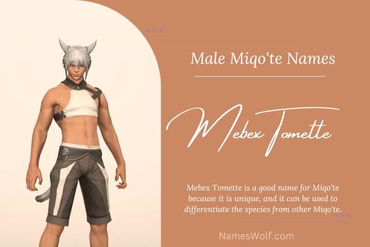 350 Awesome Miqote Names That Are Out Standing