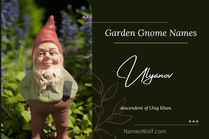 garden-gnome-name-generator-fasci-garden