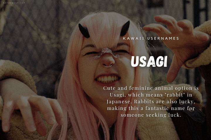 Usagi