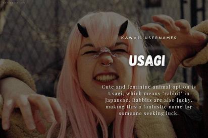 700+ Epic Username Ideas - Best Cute, Kawaii Aesthetic Usernames