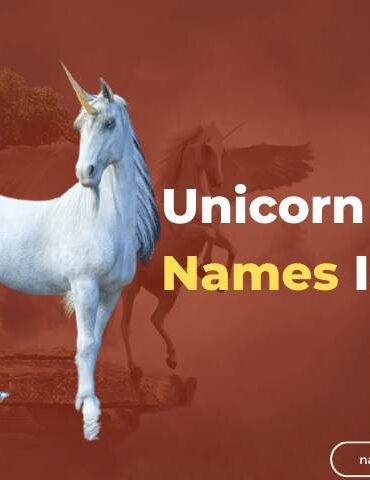 Unicorn Names Ideas