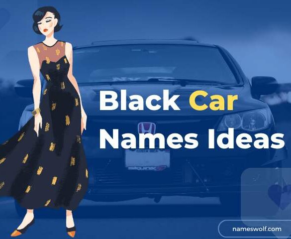 Black Car Names Ideas