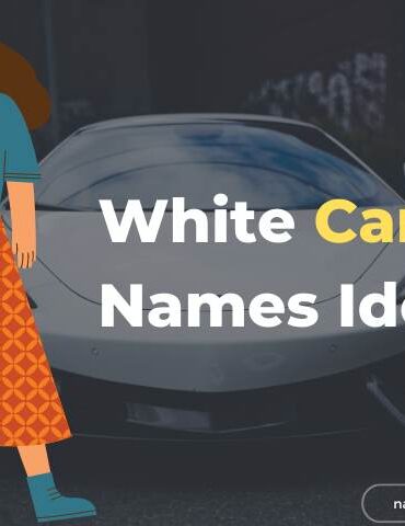 White Car Names Ideas