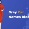 Grey Car Names Ideas