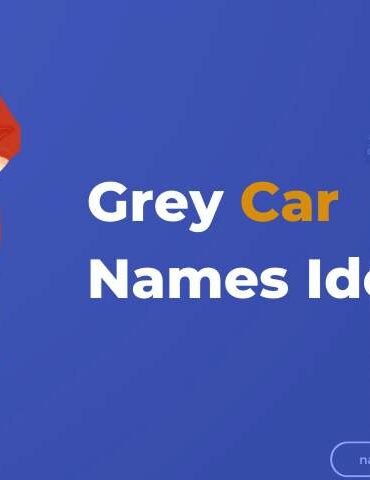 Grey Car Names Ideas