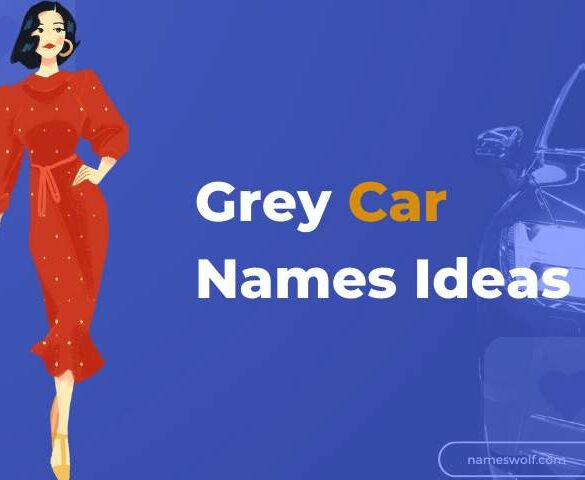 Grey Car Names Ideas