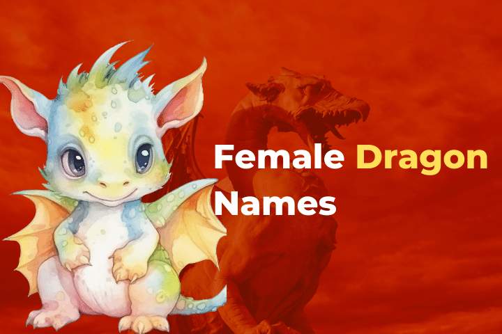 150 Female Dragon Names From Myth To Reality NamesWolf