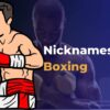 Nicknames for Boxing