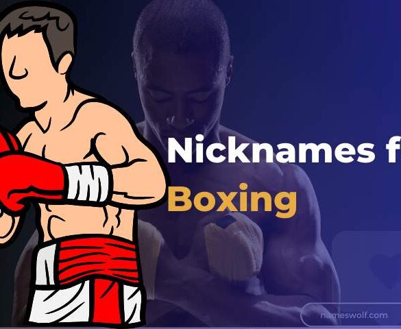 Nicknames for Boxing