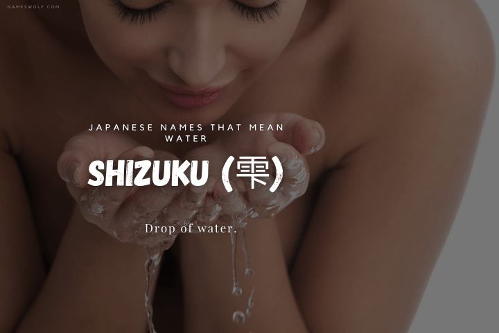 Shizuku (雫)