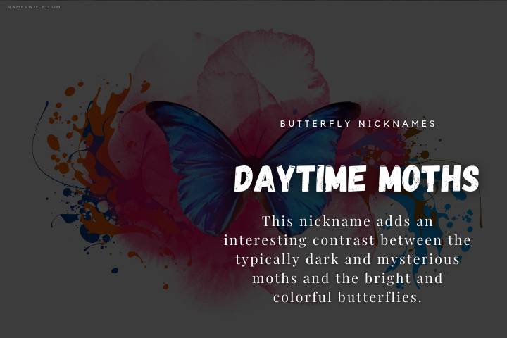 Daytime Moths