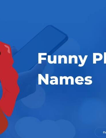 Funny Phone Names