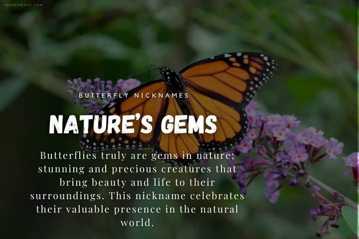 Nature’s Gems
