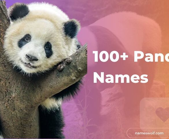 100+ Panda Names