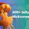 200+ Jellyfish Nicknames