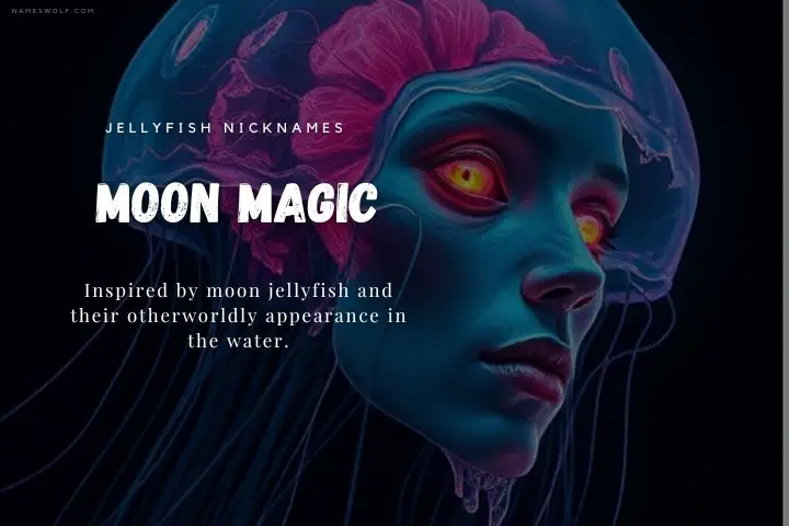 Moon Magic