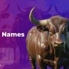 Bull Names