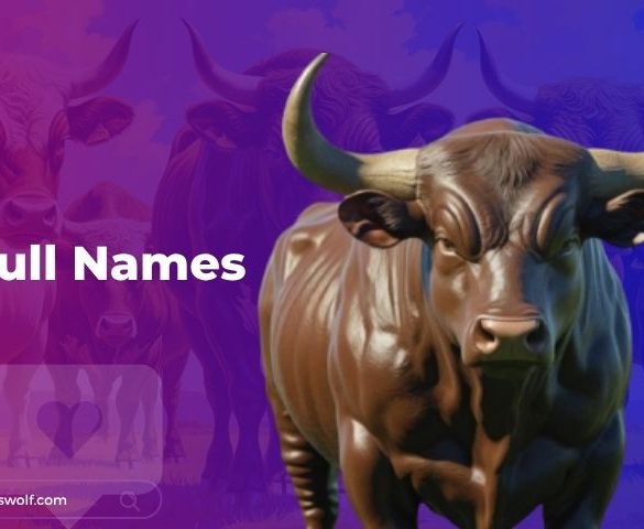 Bull Names