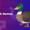 Duck Names