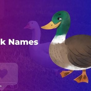 Duck Names