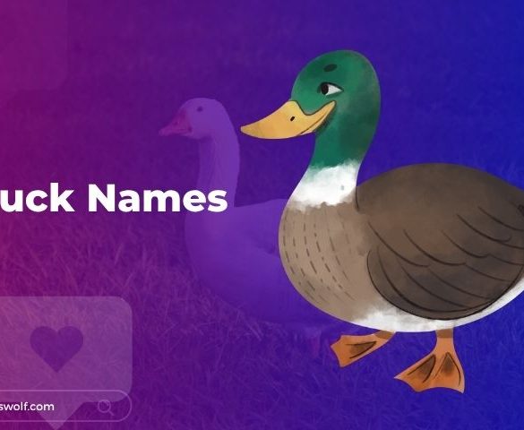 Duck Names
